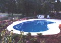 Kidney In Ground Swimming Pool
